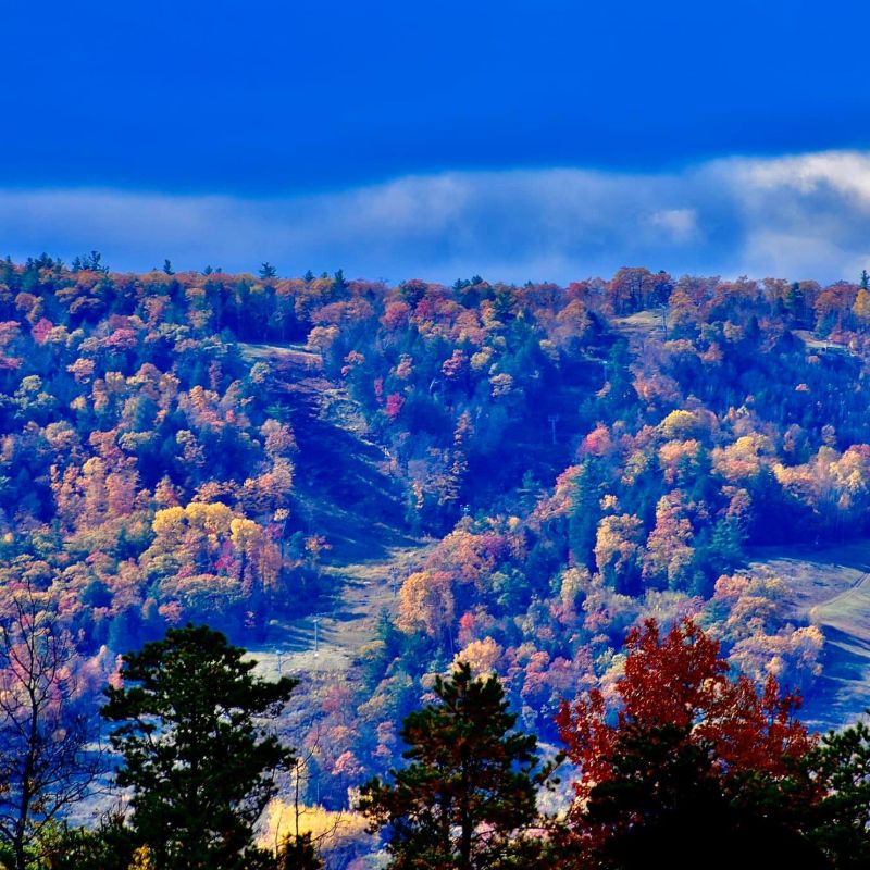 scenic2